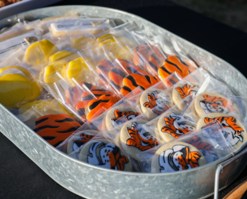 New Jonesborough K-8 School Community Groundbreaking Celebration