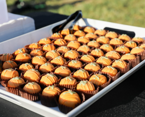 New Jonesborough K-8 School Community Groundbreaking Celebration