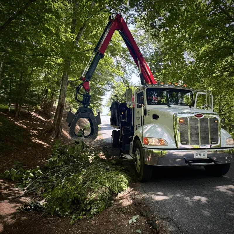 Tree Removal truck