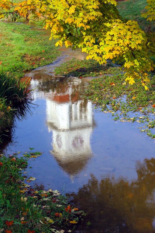 stream reflection