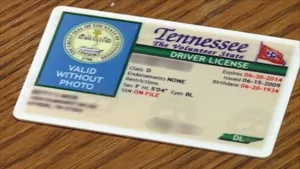 Drivers License